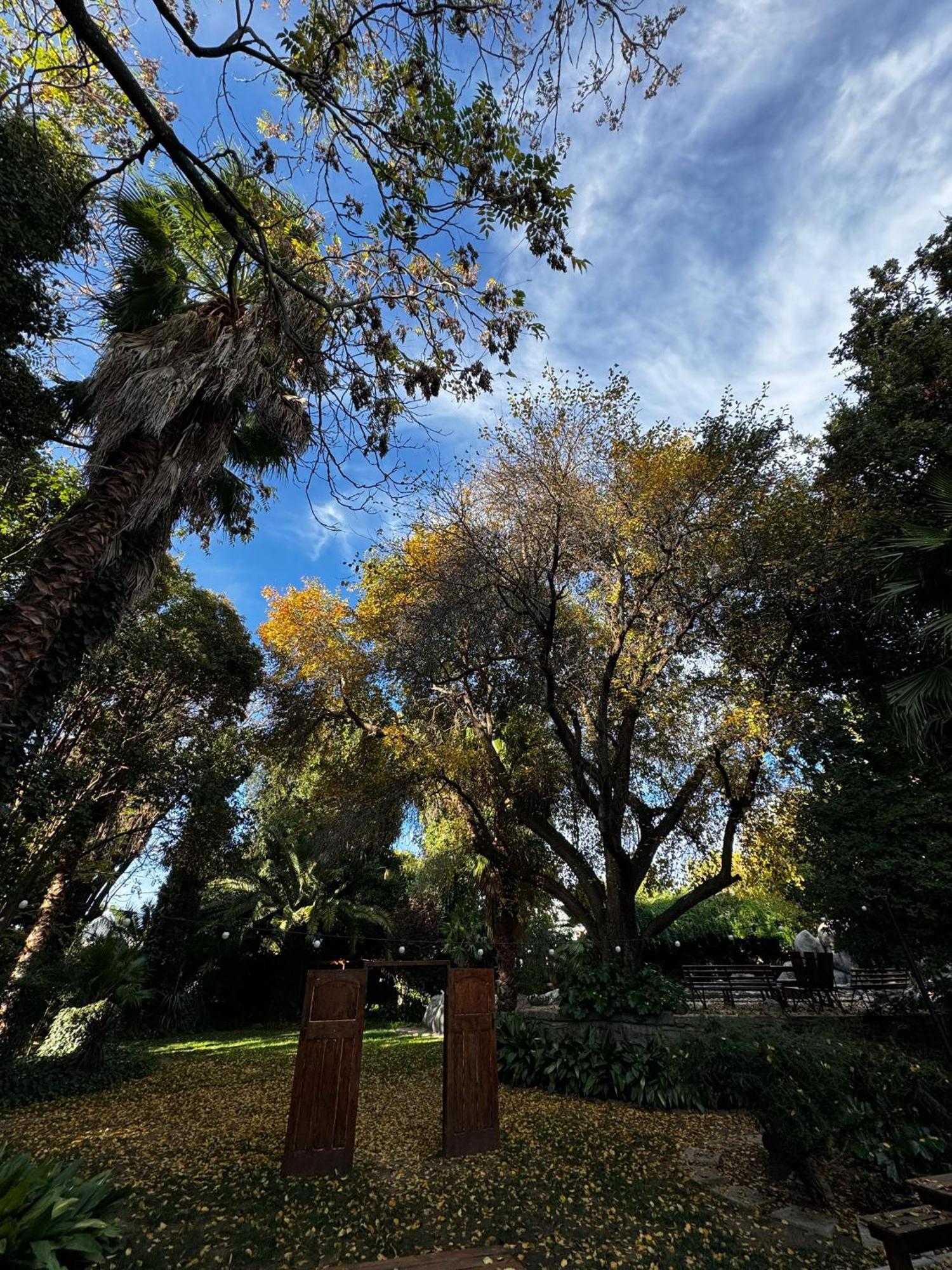 The Palms Venue & Accommodation Cradock Eksteriør bilde